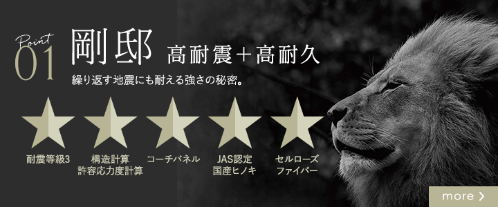 NEXT 剛邸　高耐震＋高耐久